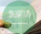 Immigration Process to Saudi Arabia